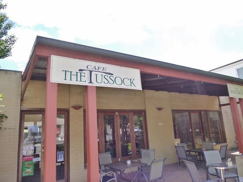 Serrated Tussock Cafe - e-Seniors 0