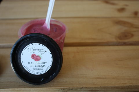 Springwood Farm Berries - e-Seniors 2