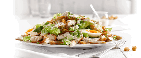 Sumo Salad - Karrinyup - e-Seniors 0