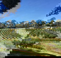 Cherrytime Orchard - e-Seniors