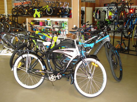 Gateshead Cycles @ Warners Bay - e-Seniors 1