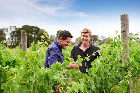 Shadowfax Winery - e-Seniors 1