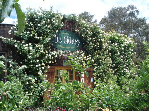 The Cidery - e-Seniors 0