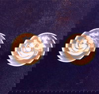 Hallowed Grounds Espresso - e-Seniors