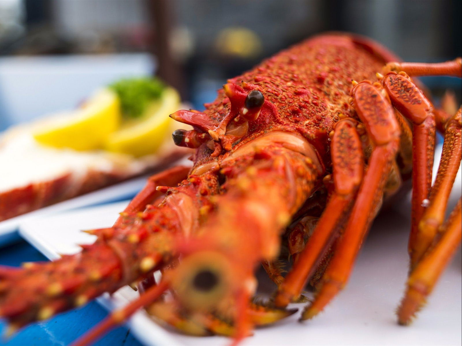 Coles Bay TAS e-Seniors