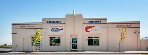 S.D. Caputo And Sons - e-Seniors 1