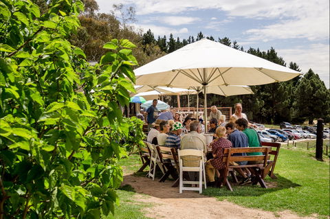 Anderson Hill Cellar Door - e-Seniors 2