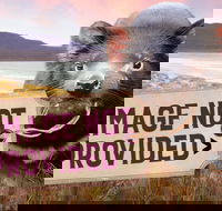 Earthy Eats - e-Seniors