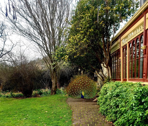 Glen Derwent Tea Rooms - e-Seniors 0