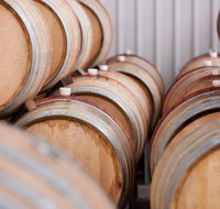 Surveyor's Hill Vineyards - e-Seniors