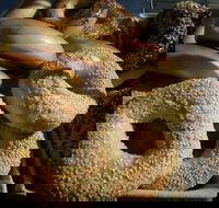 NYC Bagel Deli  Cafe - West End - e-Seniors