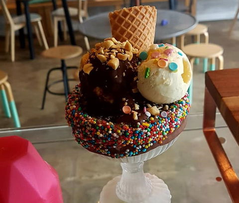 Scoop Bagels And Ice Creamery - e-Seniors 0