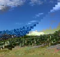 Freycinet Vineyard - e-Seniors