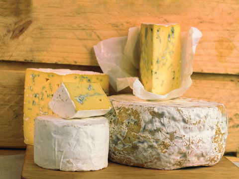 Cheese Shop At Makers' Workshop Burnie - The - e-Seniors 1