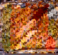 Charcoal Fire Indian and Persian Restaurant - e-Seniors