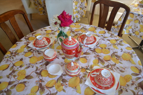 Lazy Teas - e-Seniors 2