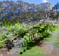 Woongooroo Estate Winery - e-Seniors