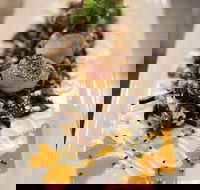 Alphabet St. - e-Seniors