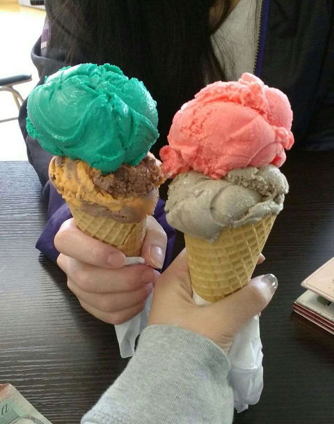 Niddrie Icecreamery - e-Seniors 0