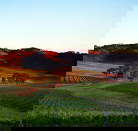 Dalwhinnie Wines