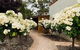 Lindsay Wine Estate - thumb 2