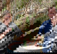 Sinclair's Gully - e-Seniors