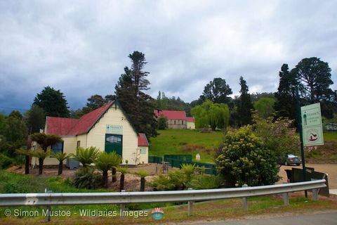 Frank's Cider House  And Cafe - e-Seniors 0