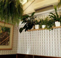 Plane Tree Cafe - e-Seniors