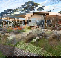 Alpine Larder Cafe - e-Seniors