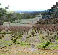 Habitat Vineyard - e-Seniors