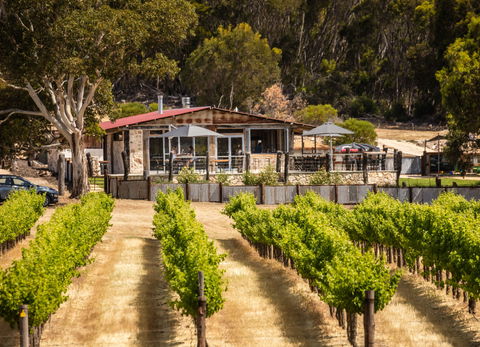 False Cape Wines Cellar Door - e-Seniors 0