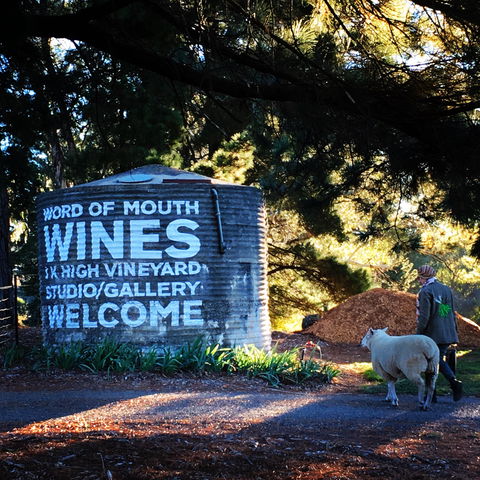 Word Of Mouth Wines - e-Seniors 1