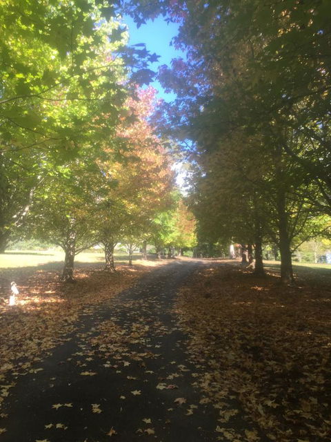 A Peaceful Cabin In The Country - e-Seniors 0