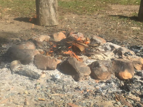 A Peaceful Cabin In The Country - e-Seniors 1