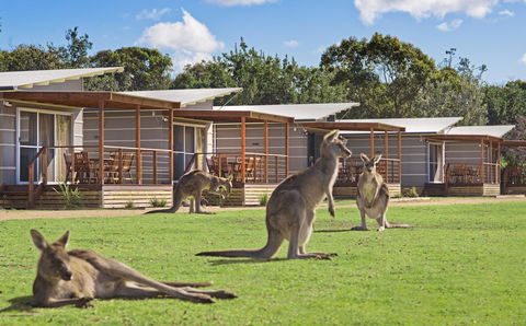 Discovery Parks â€“ Pambula Beach - e-Seniors 0