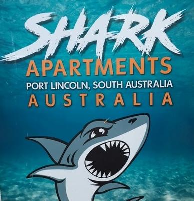 The Shark Apartments 1 - e-Seniors 15
