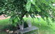 Amy's House Bed & Breakfast - thumb 22