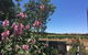 Amy's House Bed & Breakfast - thumb 29