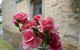 Amy's House Bed & Breakfast - thumb 30