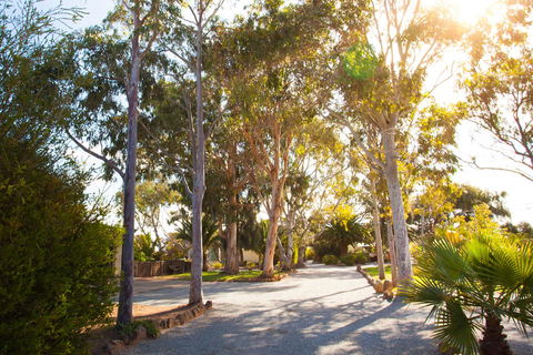 Modra's Apartments - e-Seniors 0