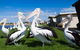 Modra's Apartments - thumb 13