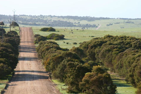 Almonta Park Lodge - e-Seniors 1