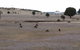 Elanora Tranquility At Emu Bay - thumb 27