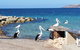 Elanora Tranquility At Emu Bay - thumb 19