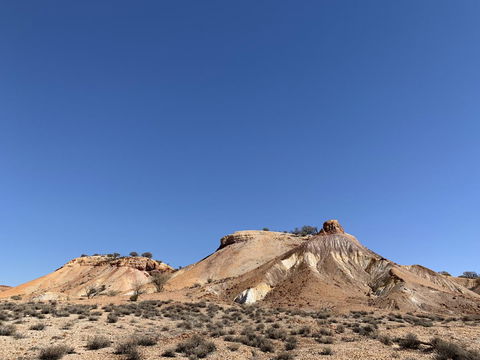 Opal Inn Hotel, Motel, Caravan Park - e-Seniors 14