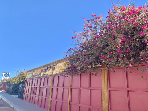 Opal Inn Hotel, Motel, Caravan Park - e-Seniors 39