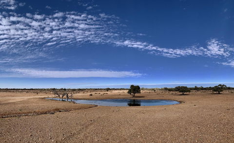 Opal Inn Hotel, Motel, Caravan Park - e-Seniors 10