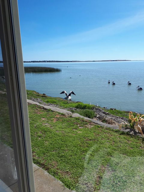 Meningie's Waterfront Motel - e-Seniors 32