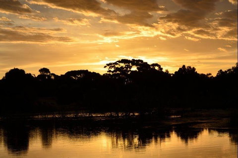 Western KI Caravan Park & Wildlife Reserve - e-Seniors 36