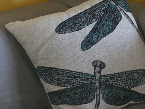 KI Dragonfly Guesthouse - e-Seniors 43